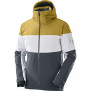 Skijacke Salomon Slalom Grau Herren