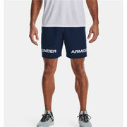 Sport Shorts Under Armour Blau Herren