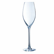 Champagnerglas Chef&Sommelier Imperiale Durchsichtig Glas 6 Stück (24 cl)