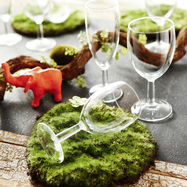 Champagnerglas Arcopal Pacome Arcopal Durchsichtig Glas 6 Stück (14 cl)