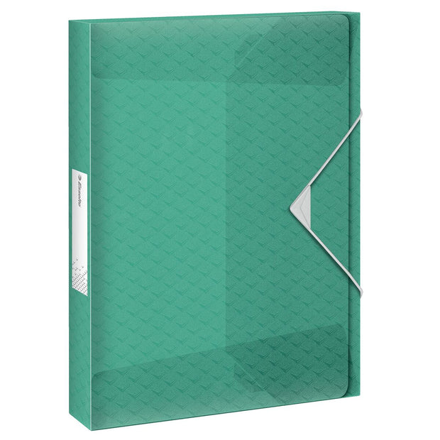 Folder Esselte Colour'ice Green