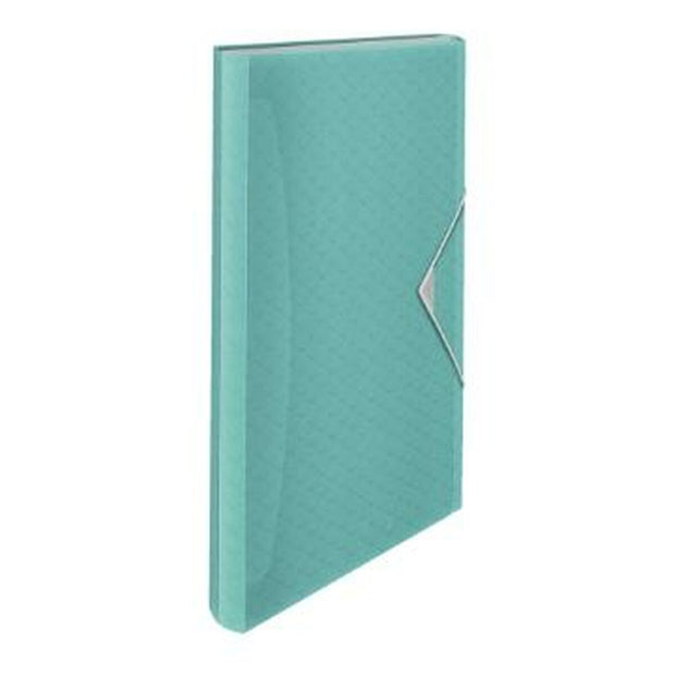 Organiser Folder Esselte Colour Ice Blue (33 x 26 x 25 cm)