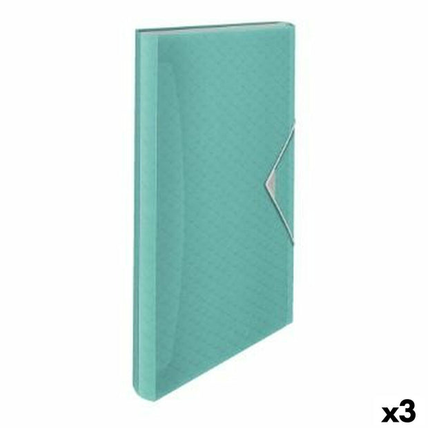 Organiser Folder Esselte Colour Ice Blue (33 x 26 x 25 cm)
