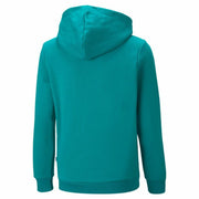 Herren Sweater mit Kapuze Puma Essentials+ Two-T Türkis