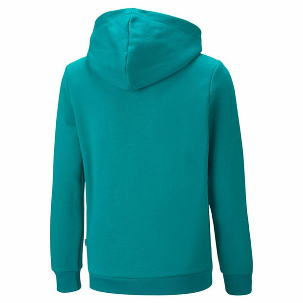 Herren Sweater mit Kapuze Puma Essentials+ Two-T Türkis