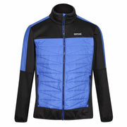 Sportjackefür Herren Regatta Clumber II Hybrid Schwarz