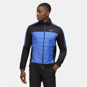 Sportjackefür Herren Regatta Clumber II Hybrid Schwarz