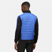 Sportjackefür Herren Regatta Clumber II Hybrid Schwarz