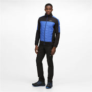 Sportjackefür Herren Regatta Clumber II Hybrid Schwarz