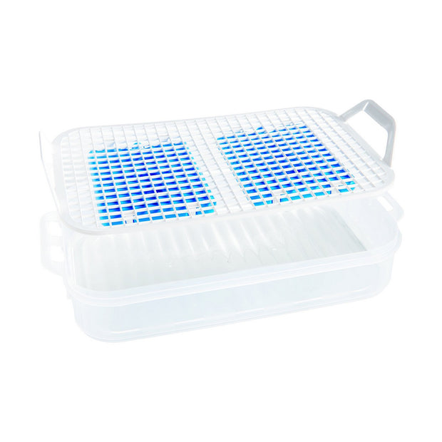Behälter Snips 43 x 27,5 x 11 cm Kühlend
