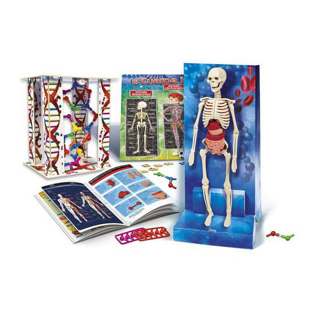 Educational Game Clementoni El Cuerpo Humano