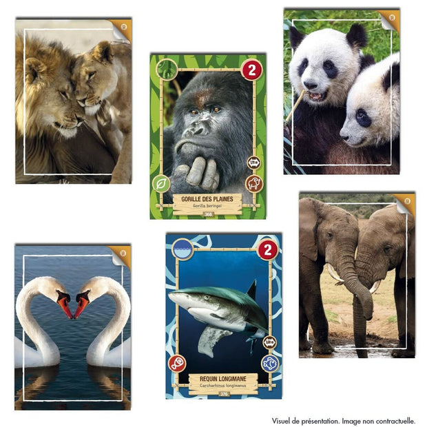 Pack of stickers Panini REWILD TRADING CARDS GAME (FR)