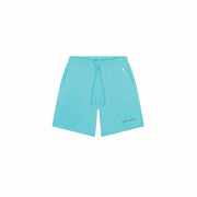 Herren-Sportshorts Champion Script Logo BL Aquamarin