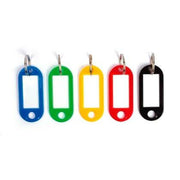 Keychain Apli Plastic Multicolour Label 100 Units