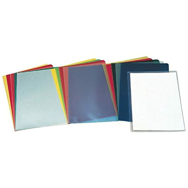 Organiser Folder Esselte Transparent polypropylene Din A4 100 Units