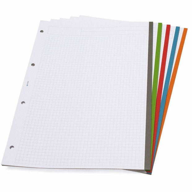 Ring binder Grafoplas Carpebook Grey (32 x 28 x 4 cm)