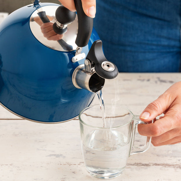 Wasserkocher Quid Edelstahl (2 L)