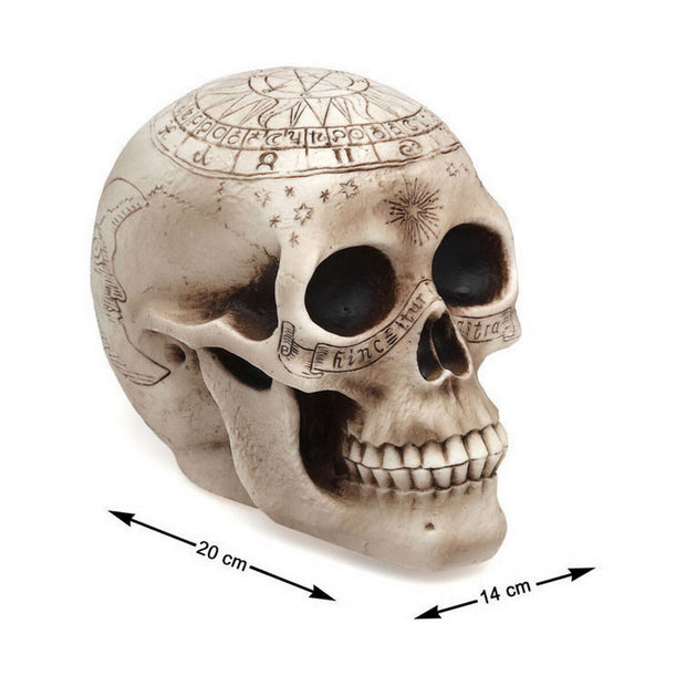 Halloween Decorations Skull 14 x 20 cm
