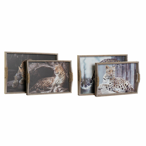 Schale DKD Home Decor (2 pcs) (40 x 30 x 6 cm)