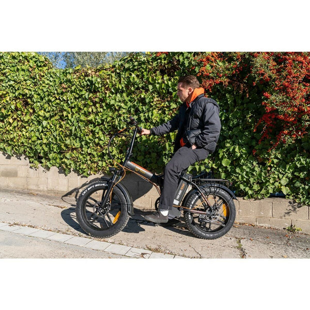 Elektrisches Fahrrad Youin BK1200 YOU-RIDE TEXAS 250W 25 km/h