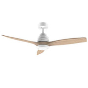 Ceiling Fan Cecotec