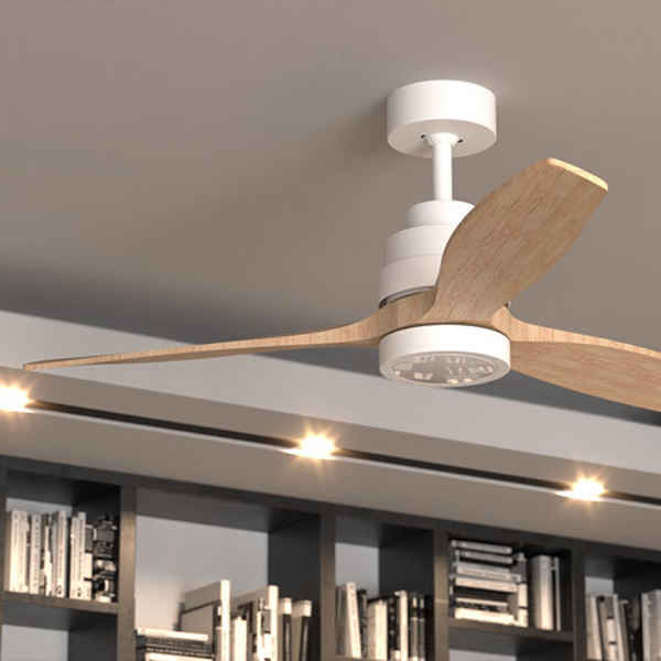 Ceiling Fan Cecotec