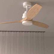 Ceiling Fan Cecotec