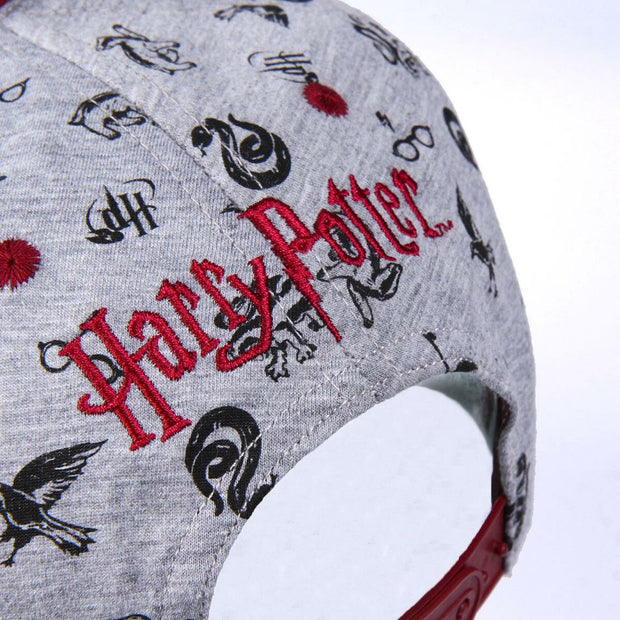 Unisex-Hut Harry Potter 57-59 cm Grau