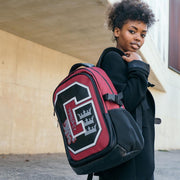 School Bag Harry Potter Red (31 x 47 x 24 cm)