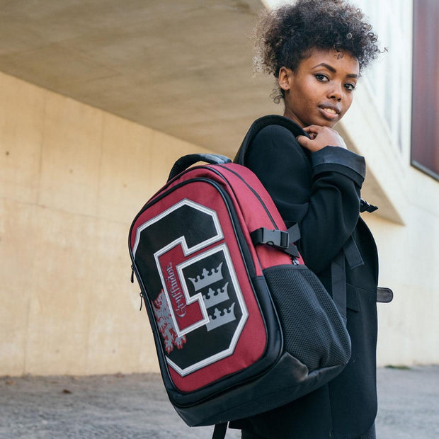 School Bag Harry Potter Red (31 x 47 x 24 cm)