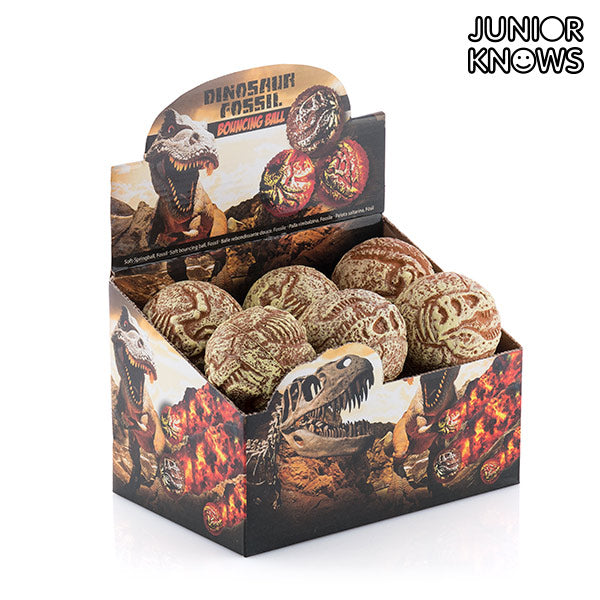 Junior Knows Fossil Ball