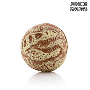 Junior Knows Fossil Ball