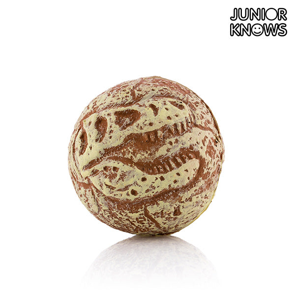 Junior Knows Fossil Ball